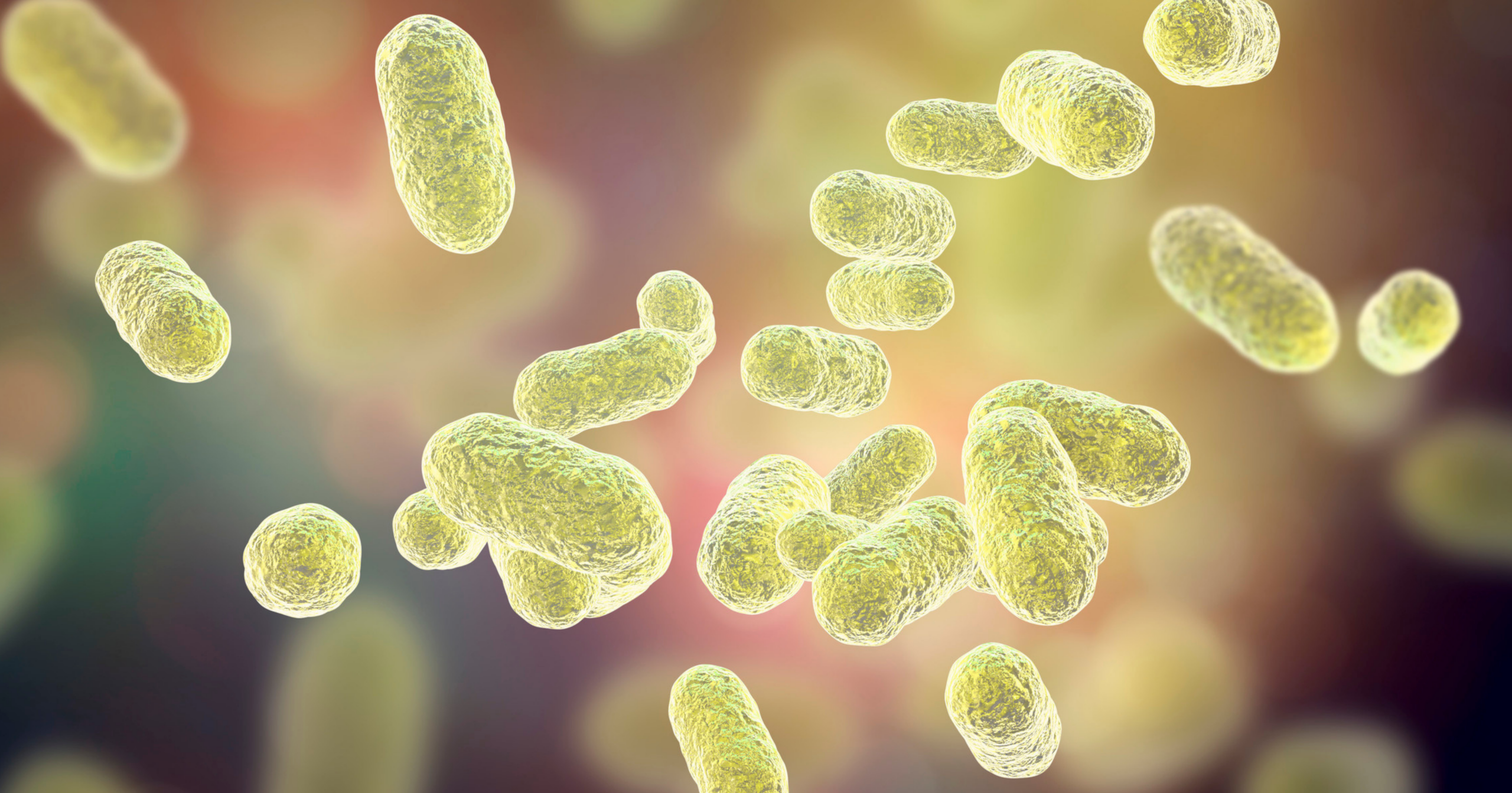 Microbiota en el sector de la restauración